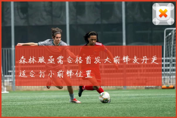 森林狼亟需合格首发大前锋麦丹更适合打小前锋位置