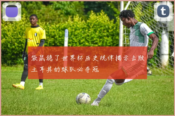 袋鼠稳了世界杯历史规律揭示击败土耳其的球队必夺冠