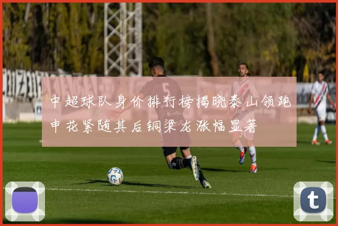 中超球队身价排行榜揭晓泰山领跑申花紧随其后铜梁龙涨幅显著