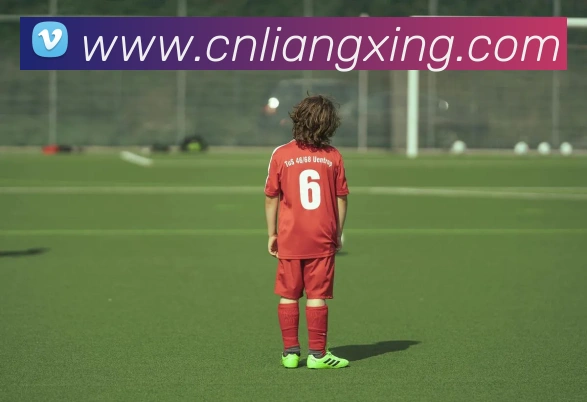 奖项证书